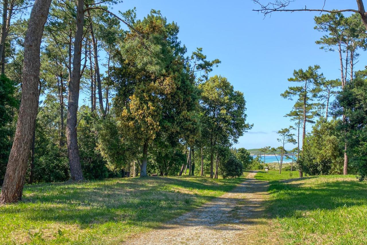 Somo Bungalow Resort - Camping Latas Zewnętrze zdjęcie